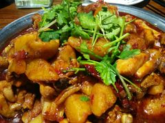 红烧大盘鸡-农夫大盘鸡(经八路总店)