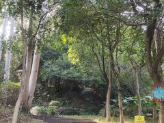 -火炉山森林公园