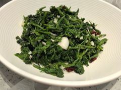 鲜百合桑嫩芽-紫光园·烤鸭·北京菜(团结湖店)