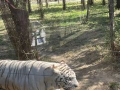 -秦皇岛野生动物园