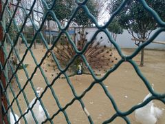 -宿豫区运河湾森林动物园