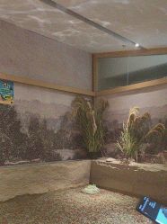 -造物庄园 萌宠纪(苏州湾歌林公园店)