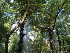 -苏州天平山风景名胜区-范仲淹纪念馆