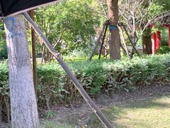 -九科绿洲