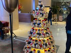 -南京禄口机场雅高铂尔曼大酒店