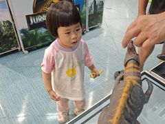 -TOYSRUS玩具反斗城(上海万象城店)