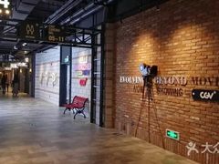 -CGV影城(壹方城IMAX店)