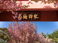 -石岛赤山风景区