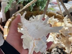 -东河市场