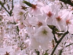 -上海山野camping·户外天幕烧烤·团建拓展营地