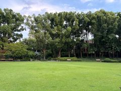 -申粤轩酒楼·三十年粤菜经典(丁香花园店)
