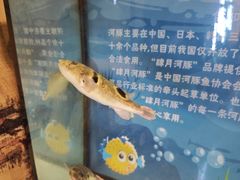 -肆月河豚·淮扬菜·湘菜(华天店)