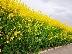 -海霸王西部食品物流园区(阳光北路)