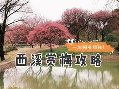 -西溪国家湿地公园