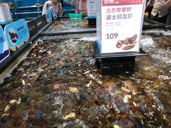 水产区-盒马鲜生(曜一城店)