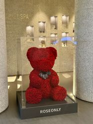 -VELEE·SPA高定疗愈会所