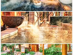 -春晖园度假酒店温泉