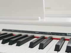 -乐尚音乐空间·钢琴·声乐·架子鼓(会展中心店)