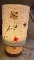 -海豚湾高端月子会所(黄浦店)