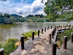 -深圳仙湖植物园