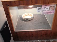 -上海大自然野生昆虫馆(东方明珠·爬宠昆虫探索中心)