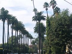 -比弗利花园
