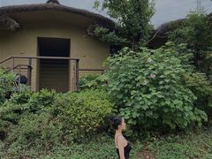 -杭州开元森泊度假乐园