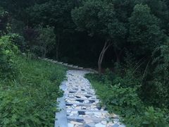 -金孔雀温泉旅游度假村