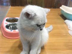 -龟与熊猫宠物公园(南坪店)