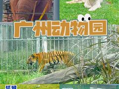 -广州动物园