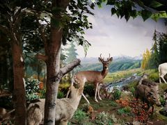 -陕西自然博物馆