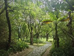 -开平碉楼文化旅游区马降龙景区