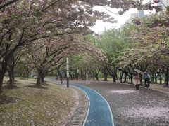 -苏州河梦清园环保主题公园