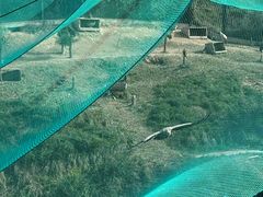 -青藏高原野生动物园