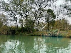 -西溪国家湿地公园