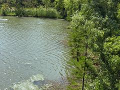 -昆山城市生态森林公园