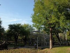 -洨河生态公园