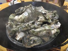 -蚝专家(北滘店)