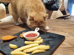 -瞄一喵猫咖(格力海岸店)