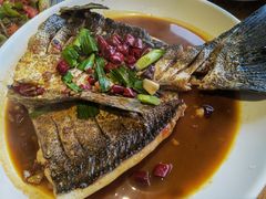 红烧鱼尾-丰乐餐厅·始于1999·本地老字号