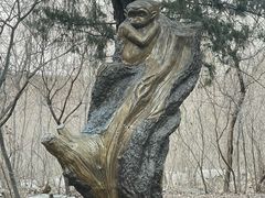 -原山国家森林公园