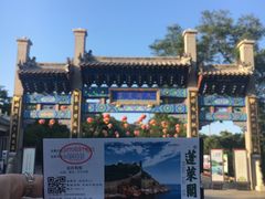 -蓬莱仙岛