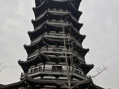 -洋湖国家湿地公园