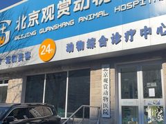 -北京观赏动物医院·24小时大型综合·猫专科·异宠专科
