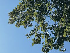 -王府井天主教堂