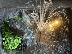 -足本纪·足道 SPA 简餐 小吃(文三西路店)
