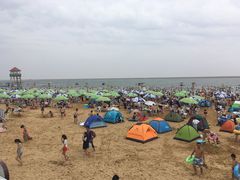 -碧海金沙