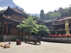 -都江堰普照寺