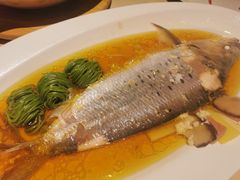 花雕酒香蒸鲥鱼-成隆行·蟹王府(九江路店)