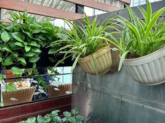 -半岛宴·湛江精品菜(蛇口广场店)